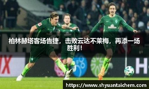 乐鱼电竞官网