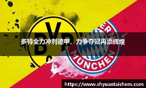 多特全力冲刺德甲，力争夺冠再添辉煌