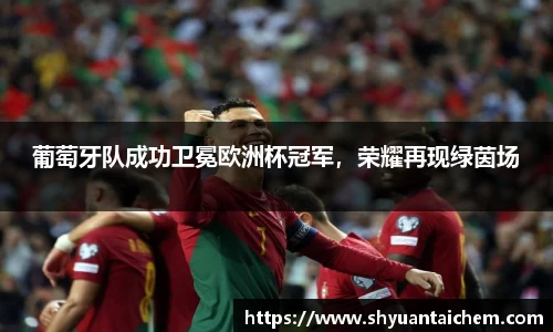 葡萄牙队成功卫冕欧洲杯冠军，荣耀再现绿茵场