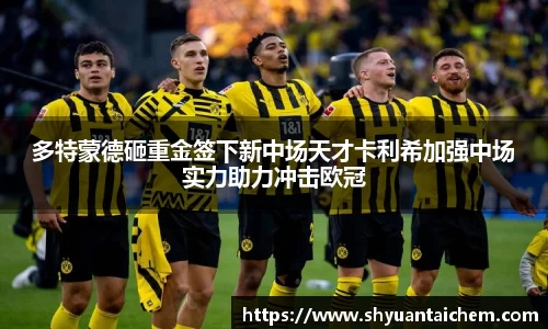 多特蒙德砸重金签下新中场天才卡利希加强中场实力助力冲击欧冠