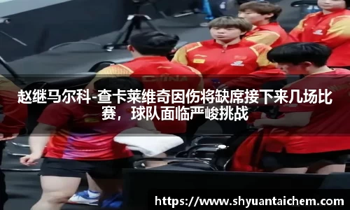 赵继马尔科-查卡莱维奇因伤将缺席接下来几场比赛，球队面临严峻挑战