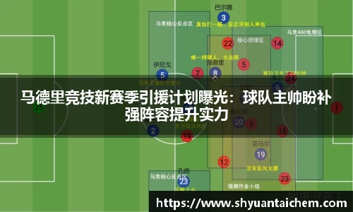乐鱼电竞官网