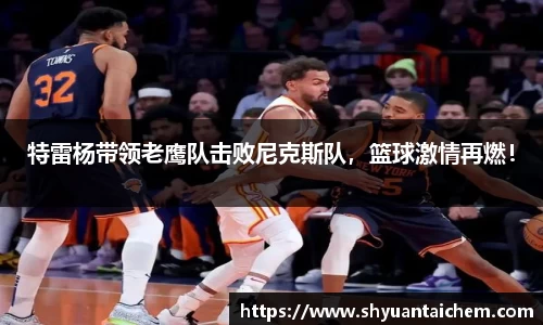特雷杨带领老鹰队击败尼克斯队，篮球激情再燃！