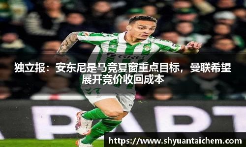 乐鱼电竞