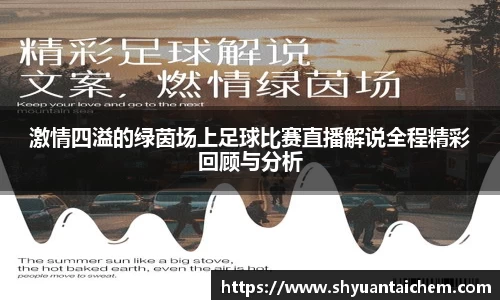 激情四溢的绿茵场上足球比赛直播解说全程精彩回顾与分析