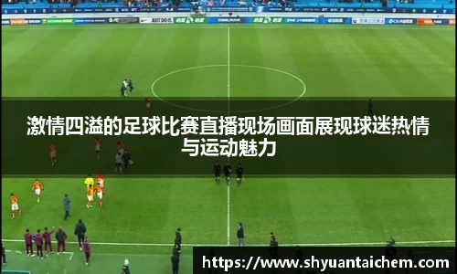 激情四溢的足球比赛直播现场画面展现球迷热情与运动魅力