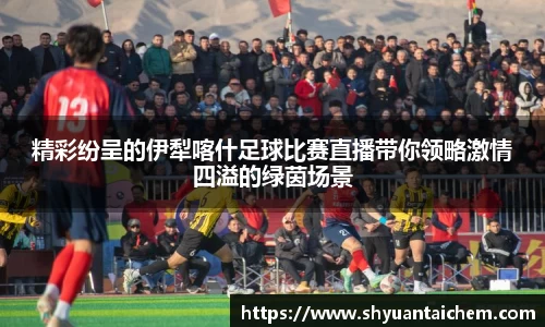 精彩纷呈的伊犁喀什足球比赛直播带你领略激情四溢的绿茵场景
