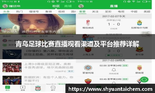 青鸟足球比赛直播观看渠道及平台推荐详解