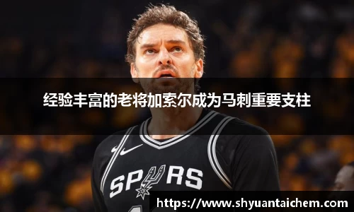 经验丰富的老将加索尔成为马刺重要支柱